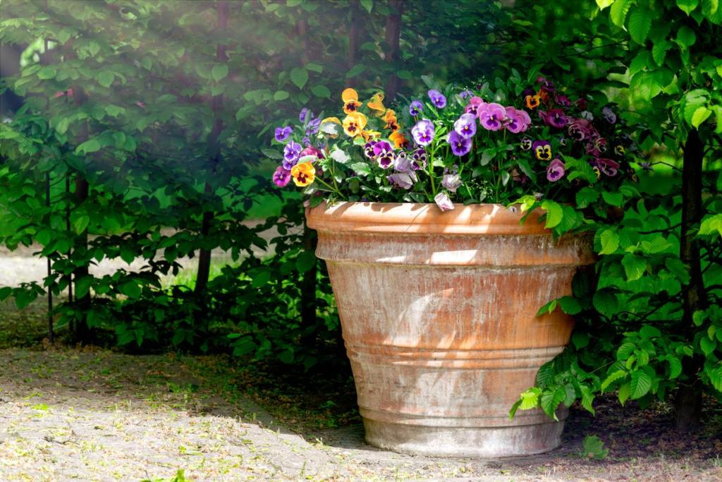 truco-patricia-fernandez-jardin-maceta