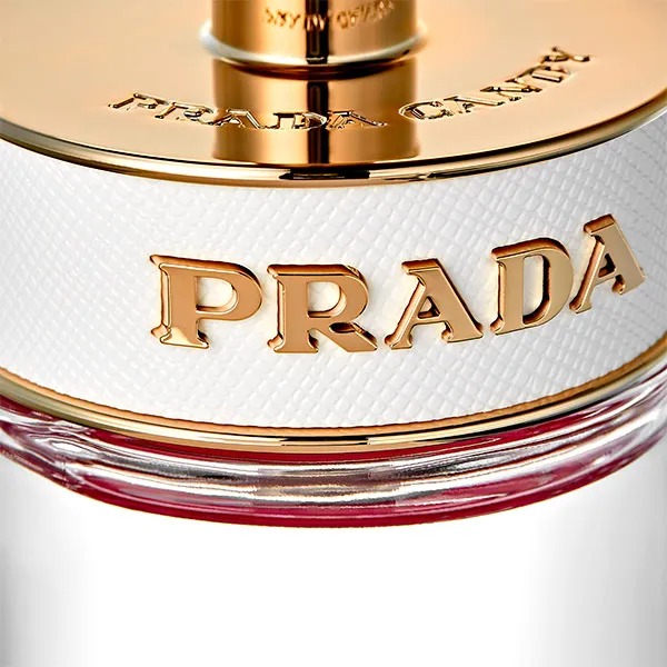 perfumes-pilar-rubio-usa-cada-dia