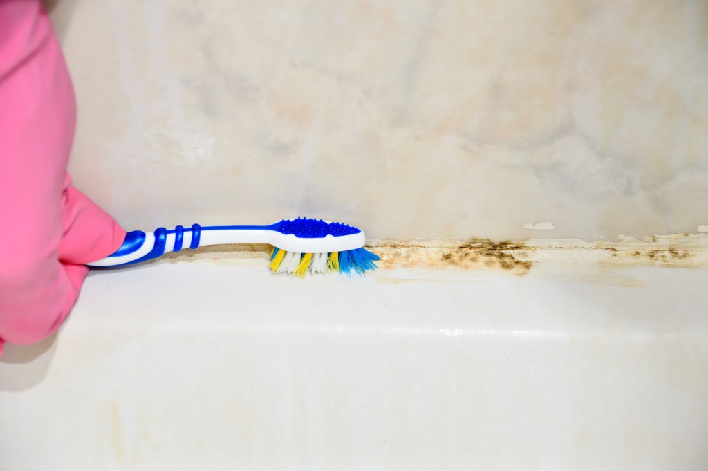 moho-baño-experta-eliminar-azulejos-juntas
