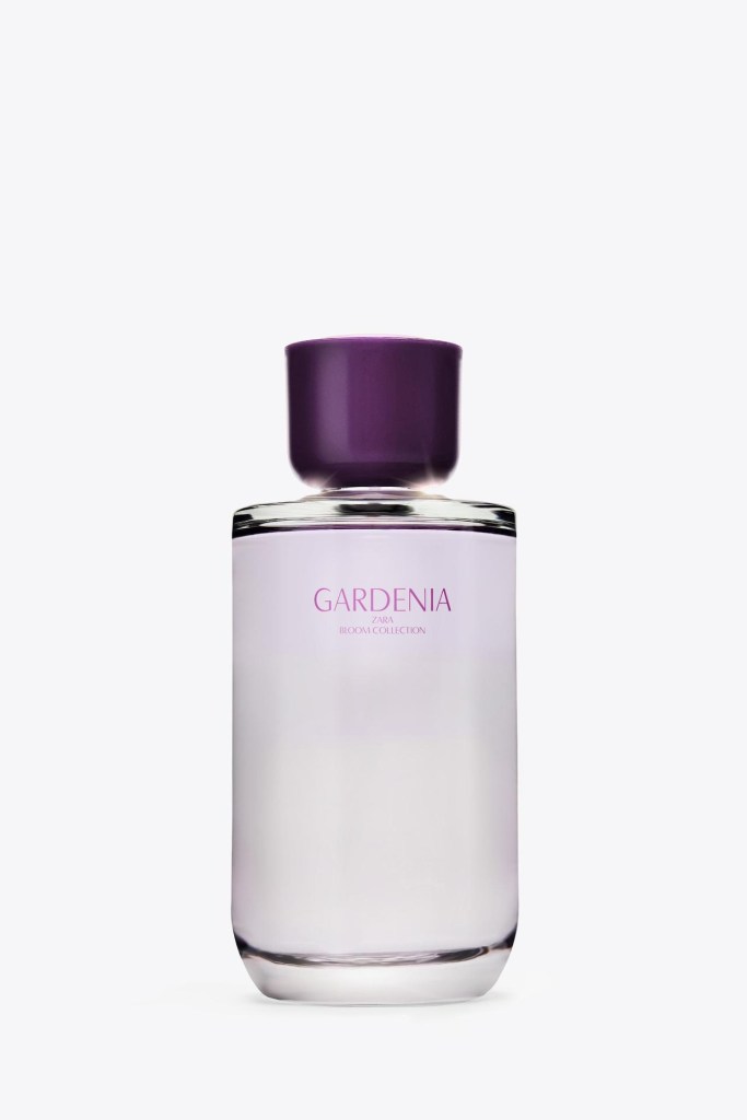 perfumes-cafe-propuesta-olfativa-otoño
